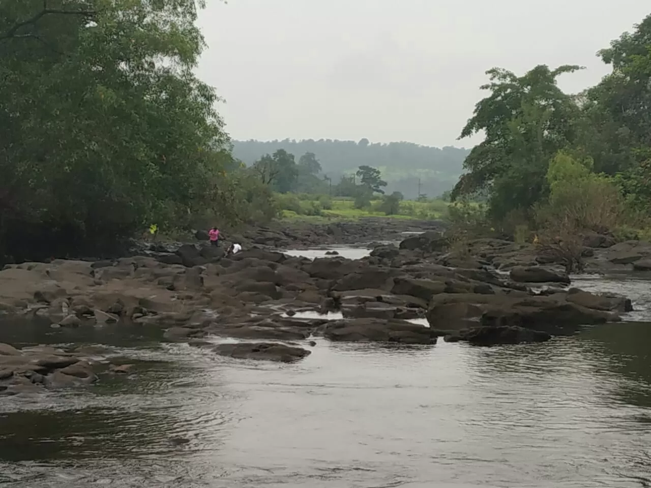 Photo of Kolad By Naman Mehta