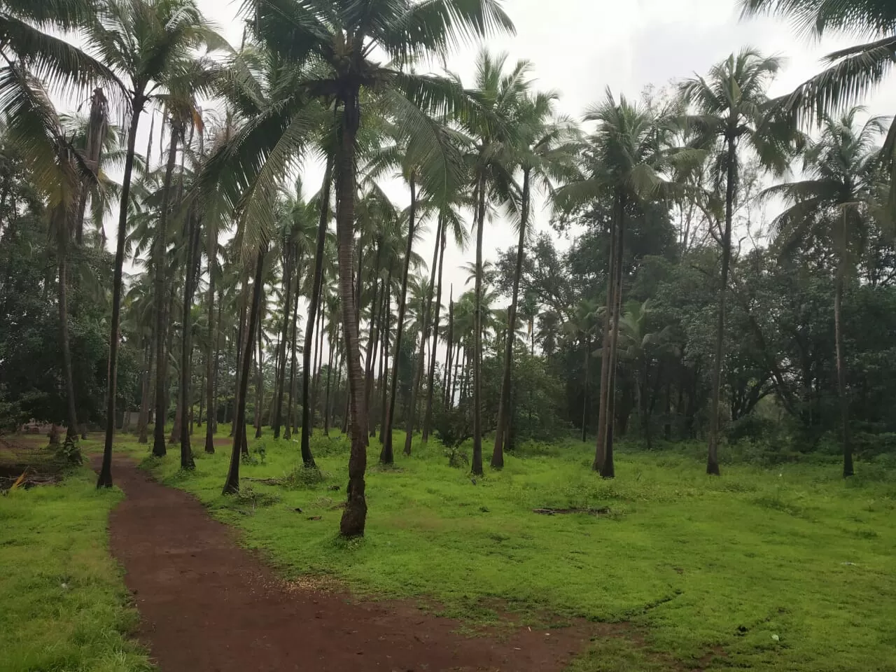 Photo of Kolad By Naman Mehta