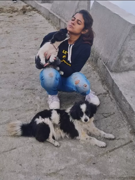 Photo of Sandakphu By Roaming Bugs