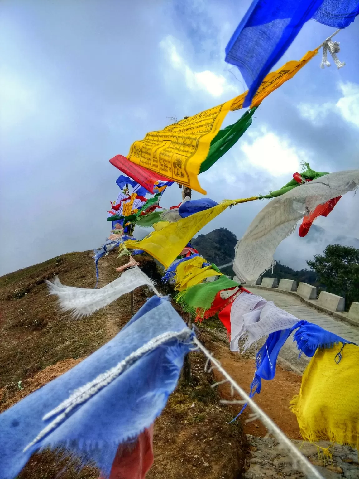 Photo of Sandakphu By Roaming Bugs