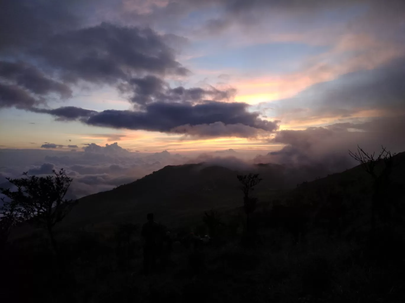 Photo of Sandakphu By Roaming Bugs