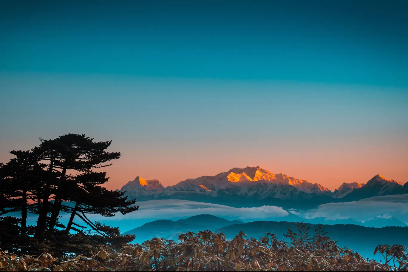 Photo of Sandakphu By Roaming Bugs
