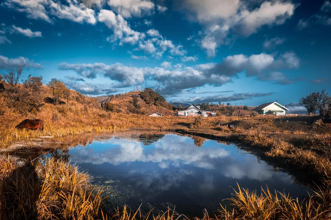 Photo of Sandakphu By Roaming Bugs