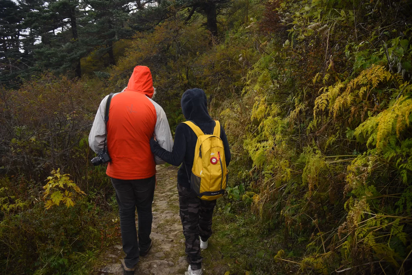 Photo of Sandakphu By Roaming Bugs