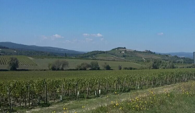 Photo of Toscana By Genia