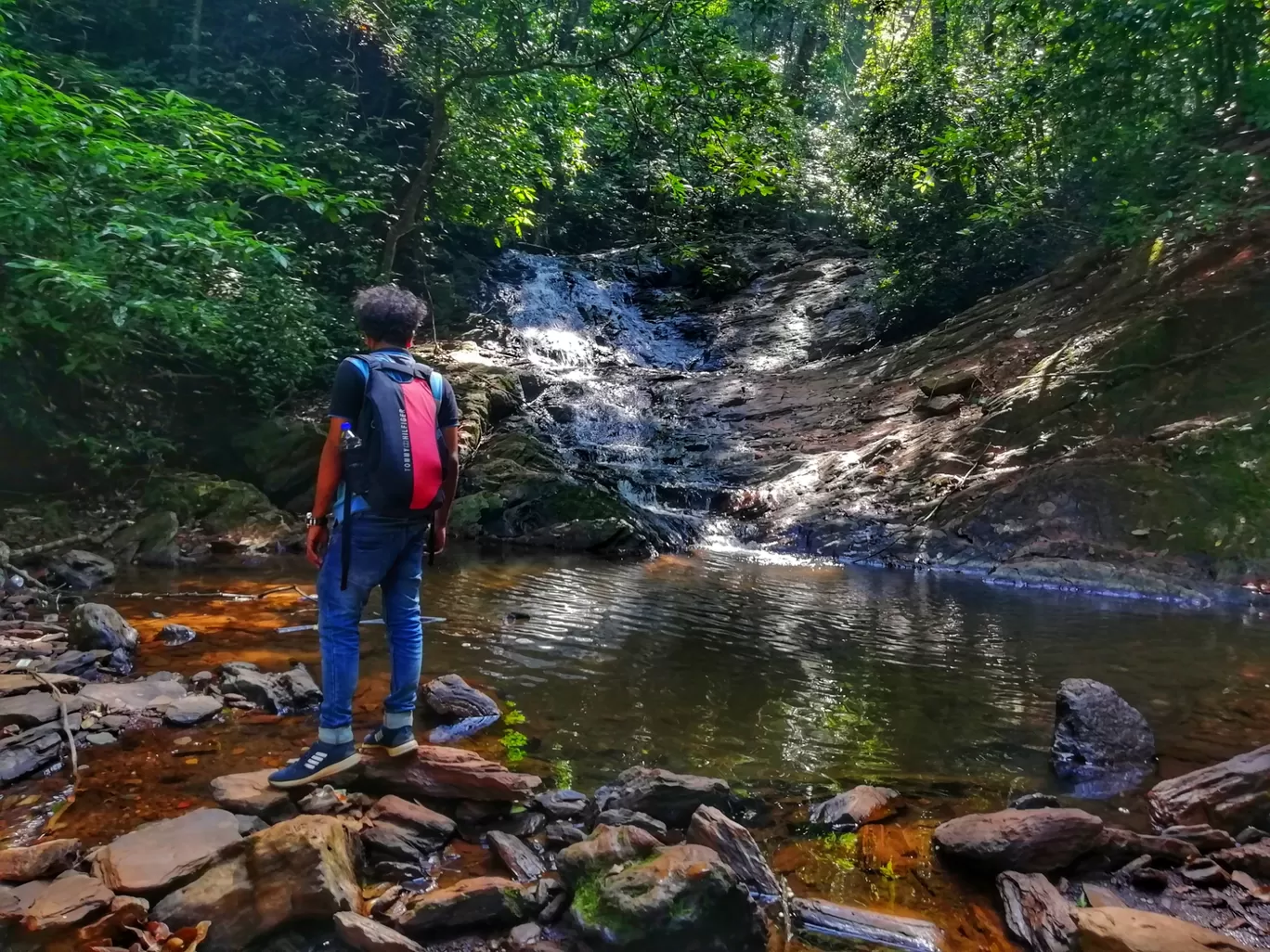 Photo of Mookambika Wildlife Sanctuary By SarAng S