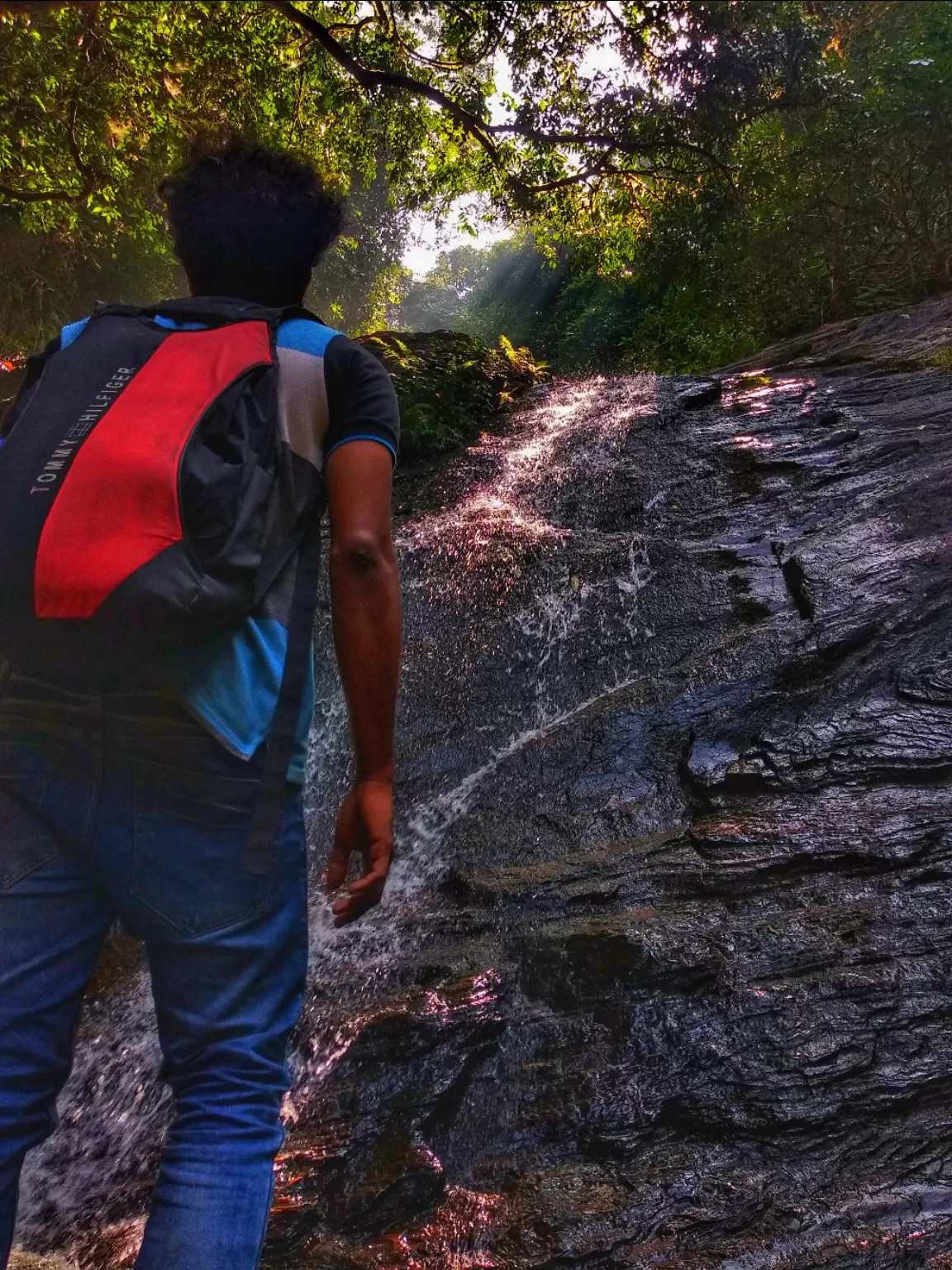 Photo of Mookambika Wildlife Sanctuary By SarAng S