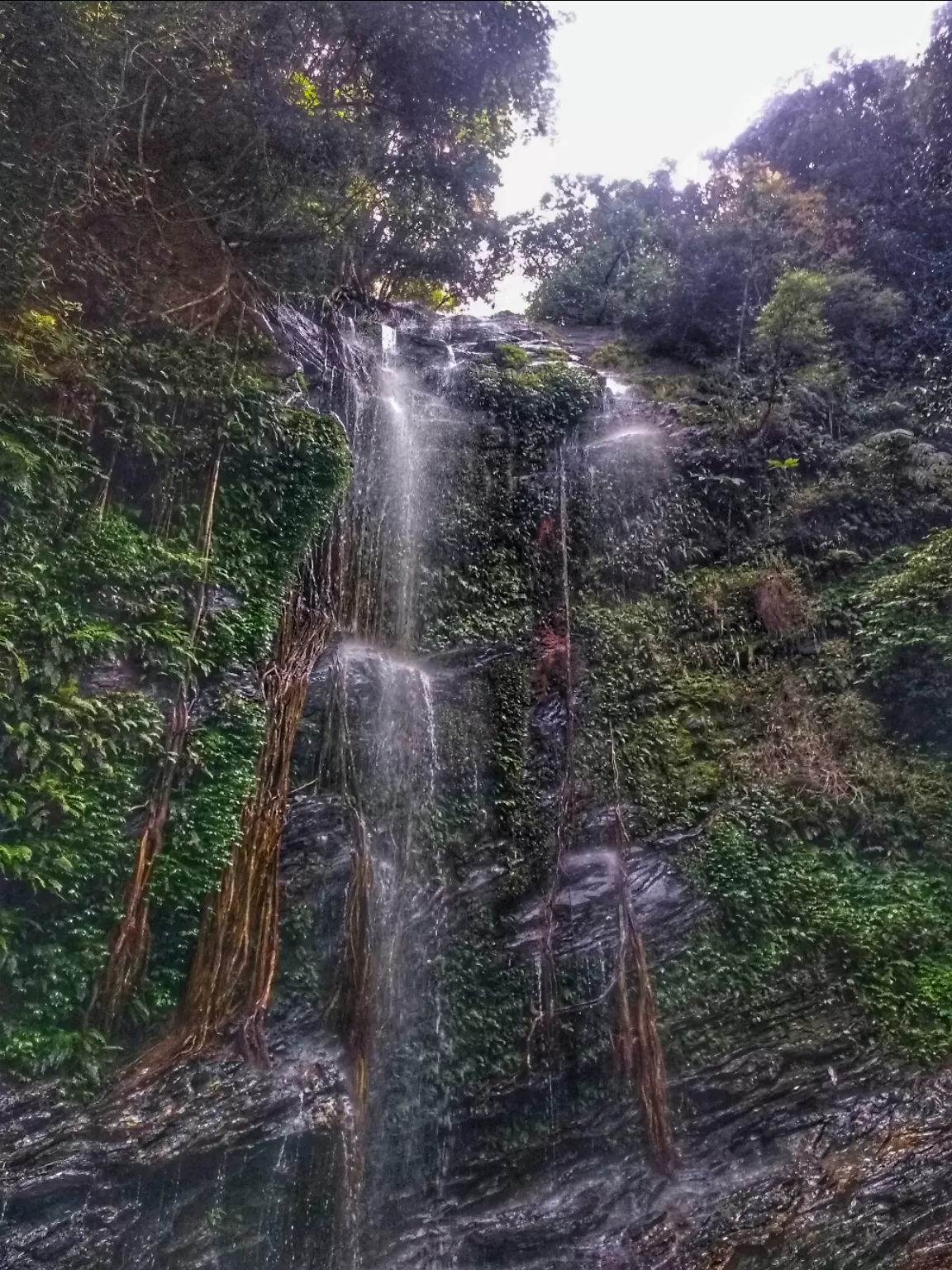 Photo of Mookambika Wildlife Sanctuary By SarAng S