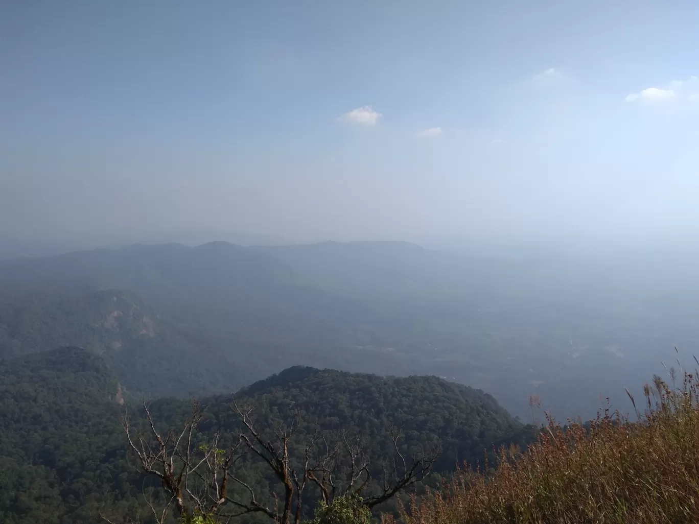 Photo of Kodachadri Hill By SarAng S