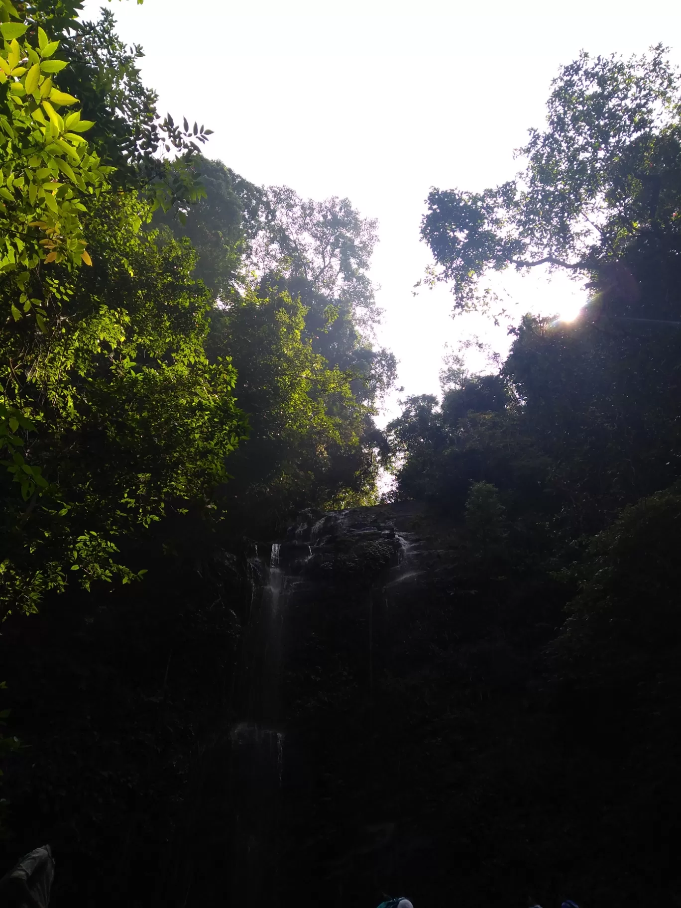 Photo of Mookambika Wildlife Sanctuary By SarAng S