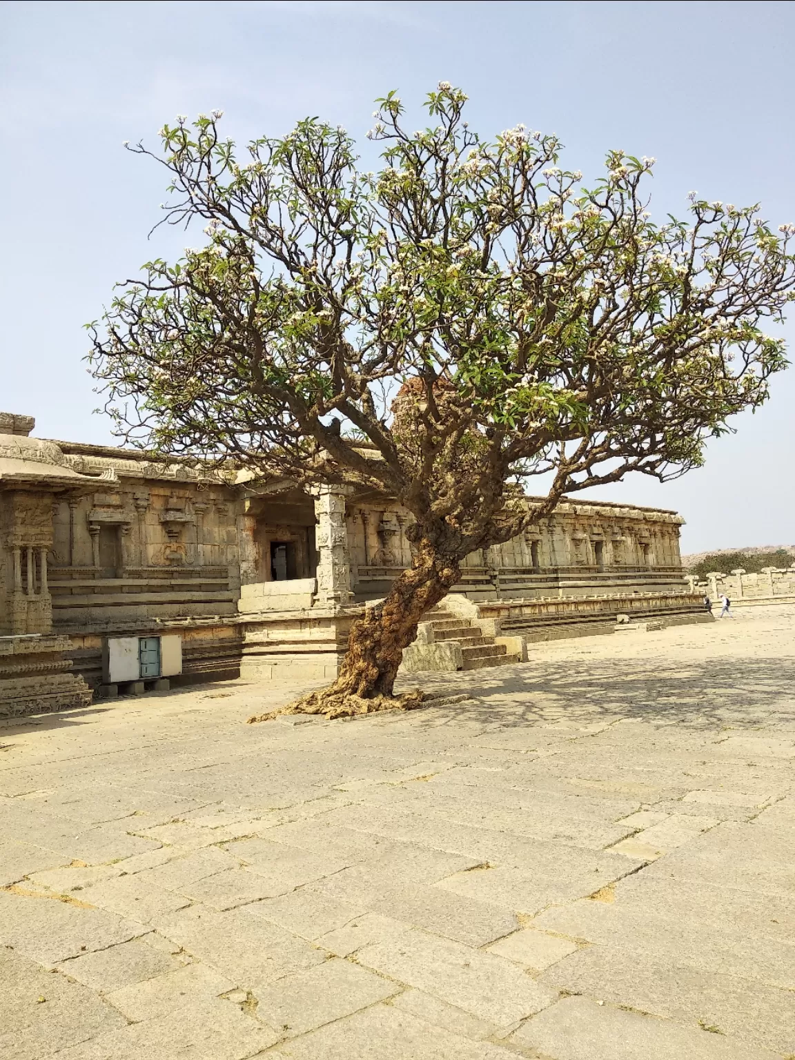 Photo of Hampi By SarAng S