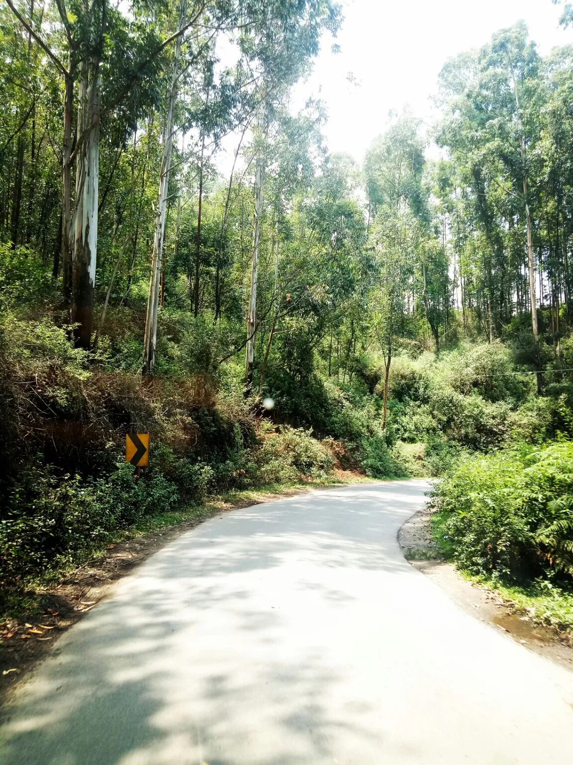 Photo of Kerala By Amit Mandaliya