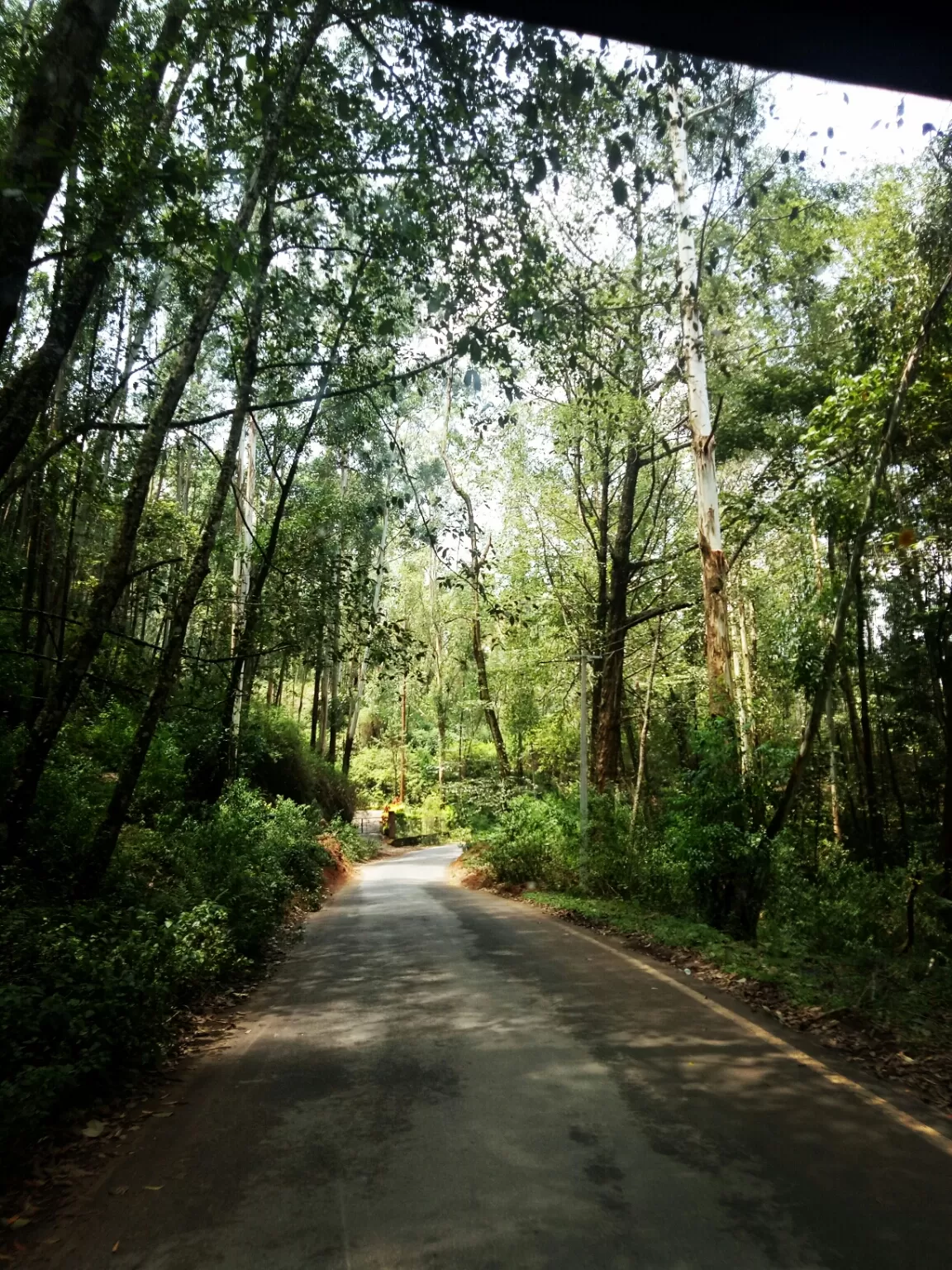 Photo of Kerala By Amit Mandaliya