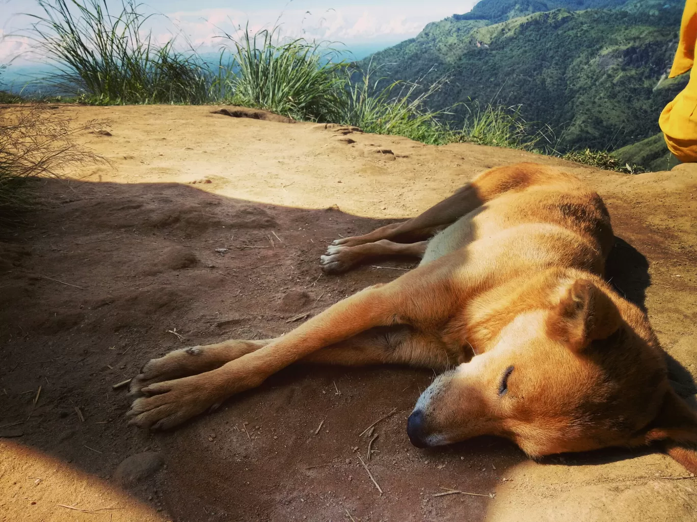 Photo of Ella By Dhananjaya Dias