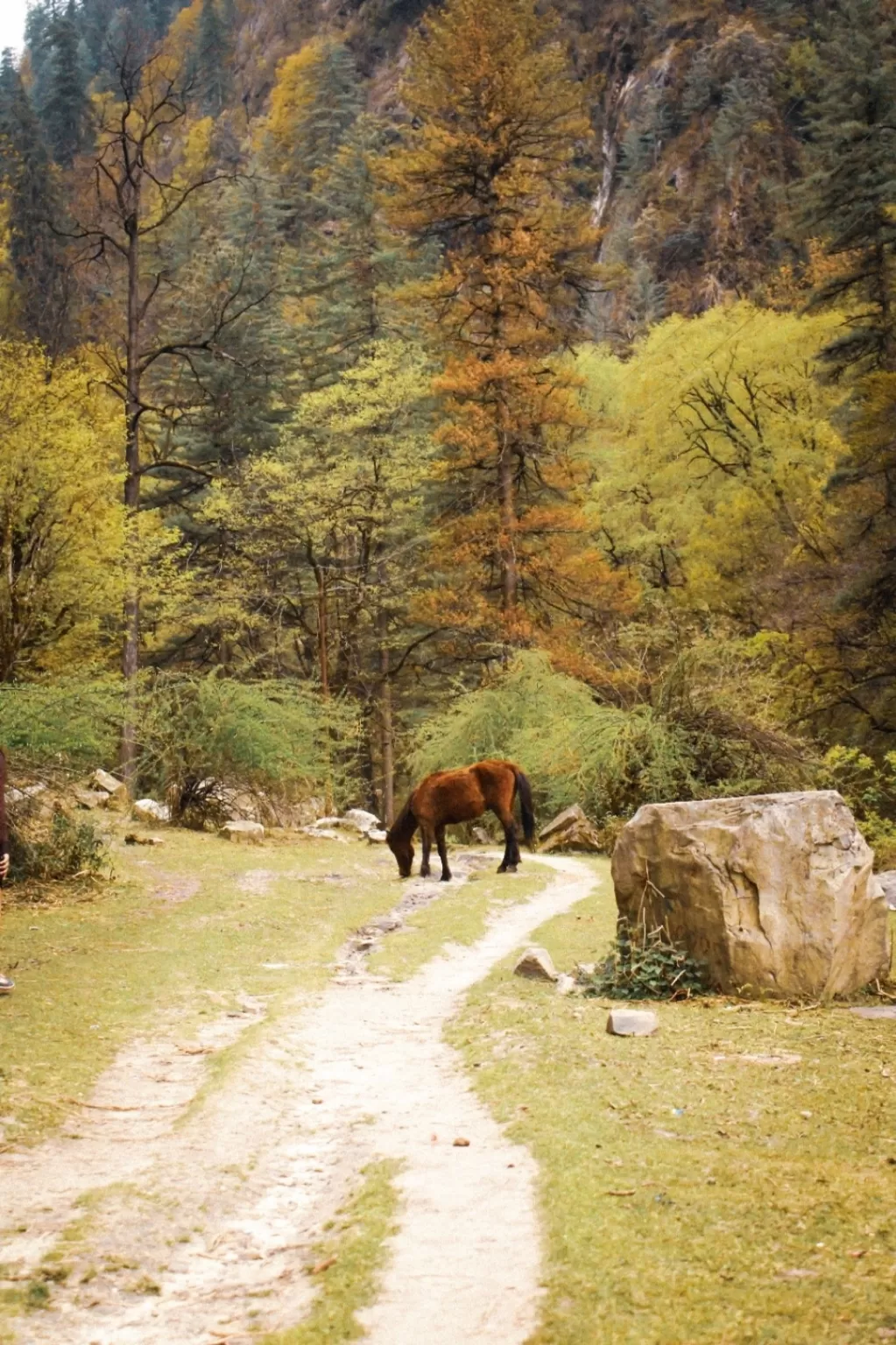 Photo of Himachal Pradesh By amit mishra