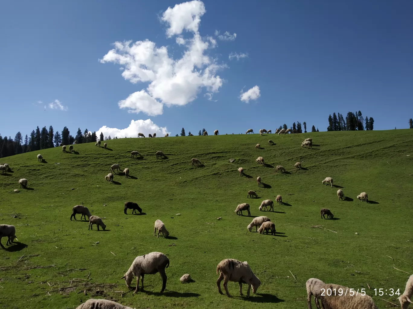 Photo of Yusmarg By Sayyed Tahir