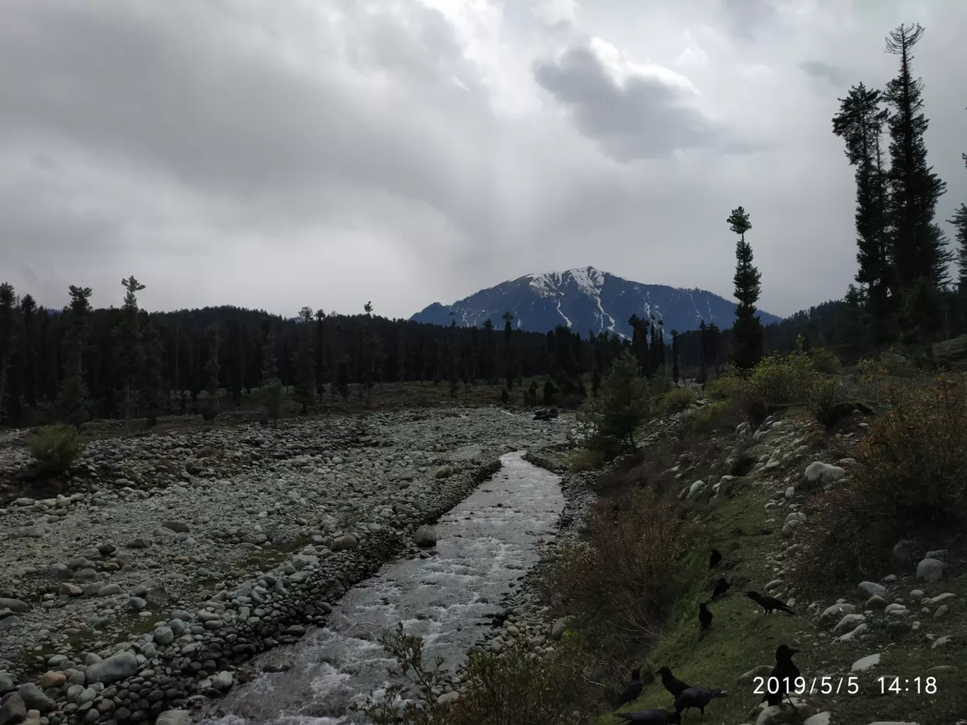 Photo of Yusmarg By Sayyed Tahir