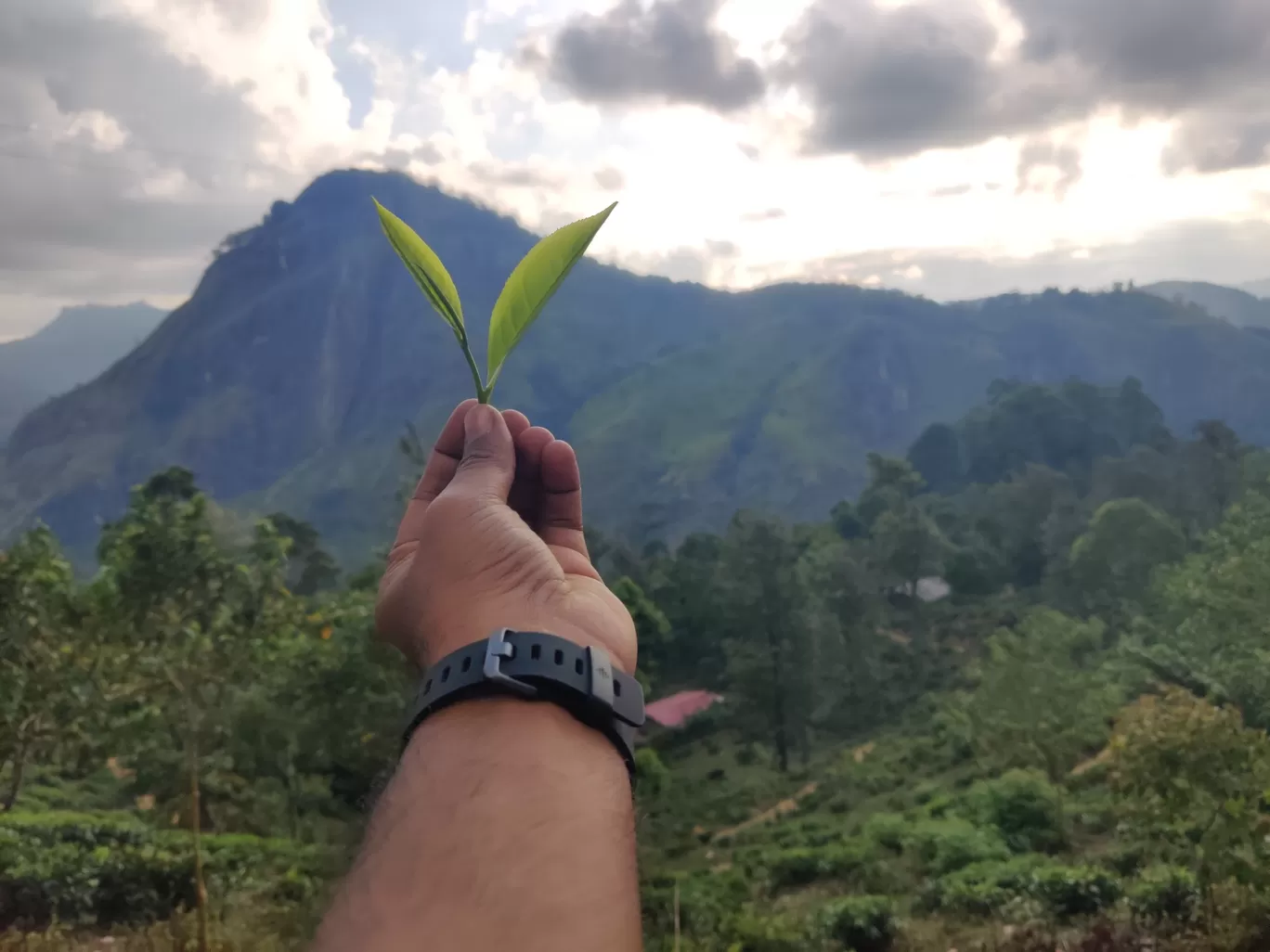 Photo of Sri Lanka By Akshay Torvi