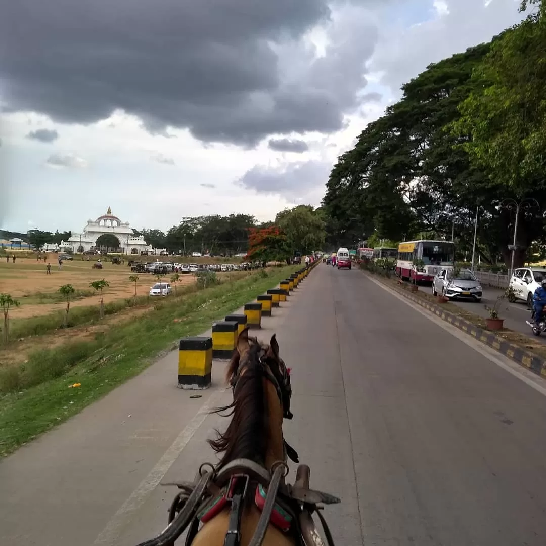Photo of Mysore By Supriya Sah