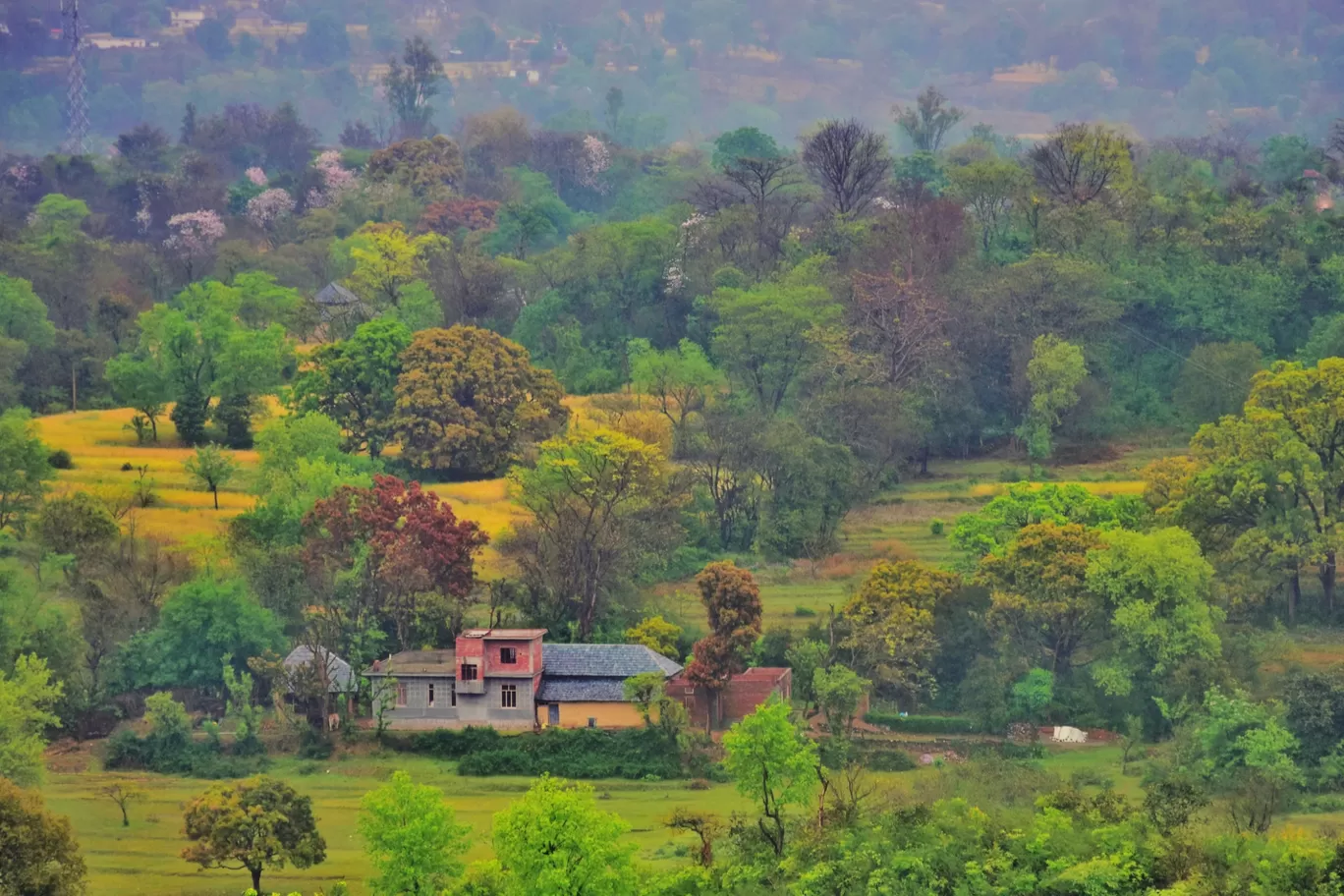 Photo of Dharamshala By Jalam Rathore