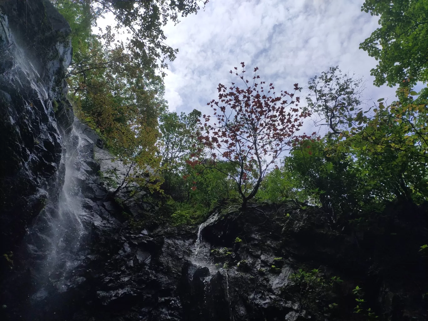 Photo of Dudhsagar Falls By Paras Siddhapura