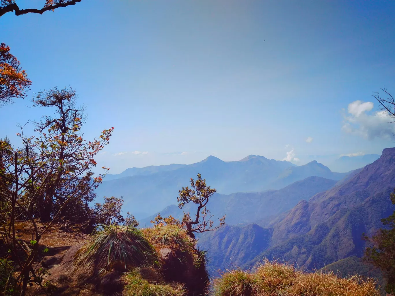 Photo of Angamaly By Sajitha Balachandran