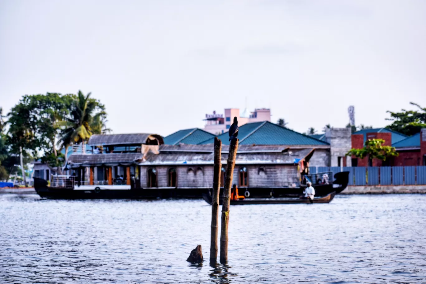 Photo of Alleppey By @pro.gyan