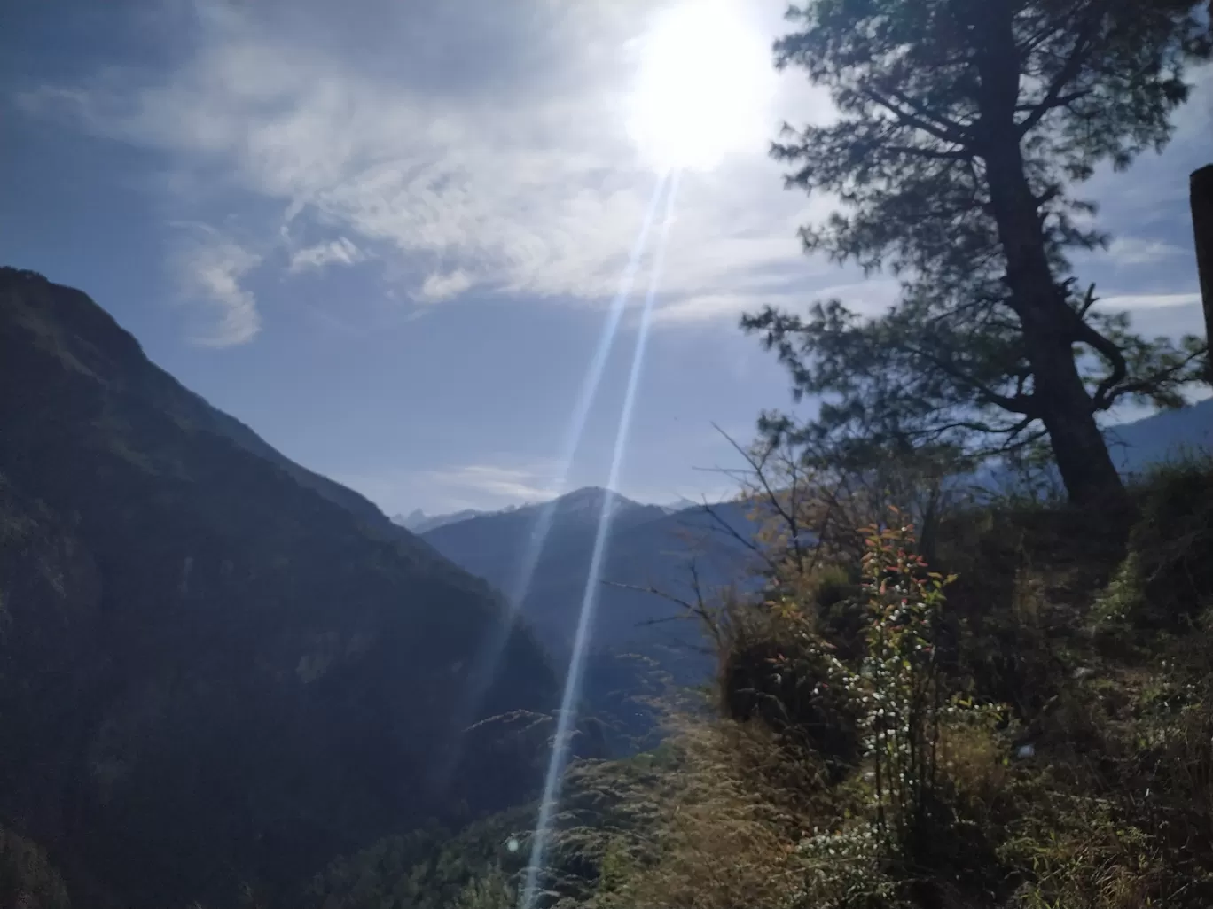 Photo of Kedarkantha Summit By Divya sheth