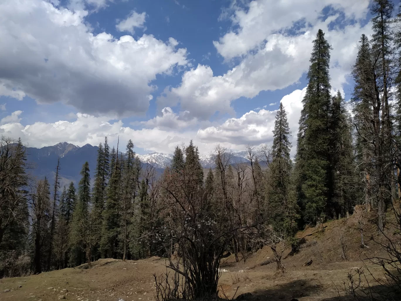 Photo of Kedarkantha Summit By Divya sheth