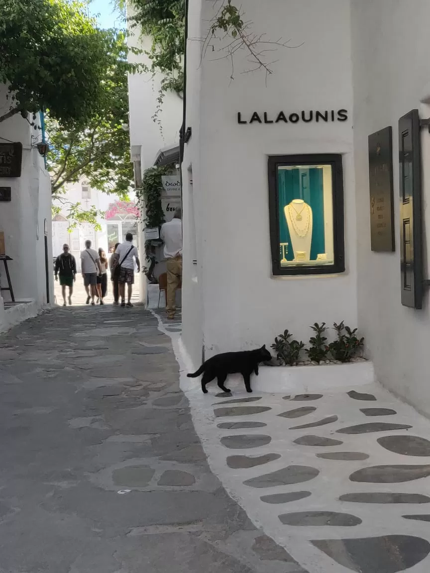 Photo of Greece By Aarohi Bhardwaj