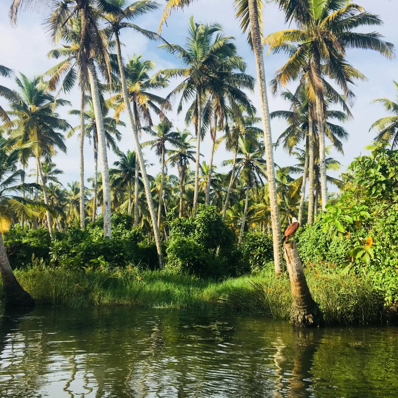 Photo of India By Kishori Koshti