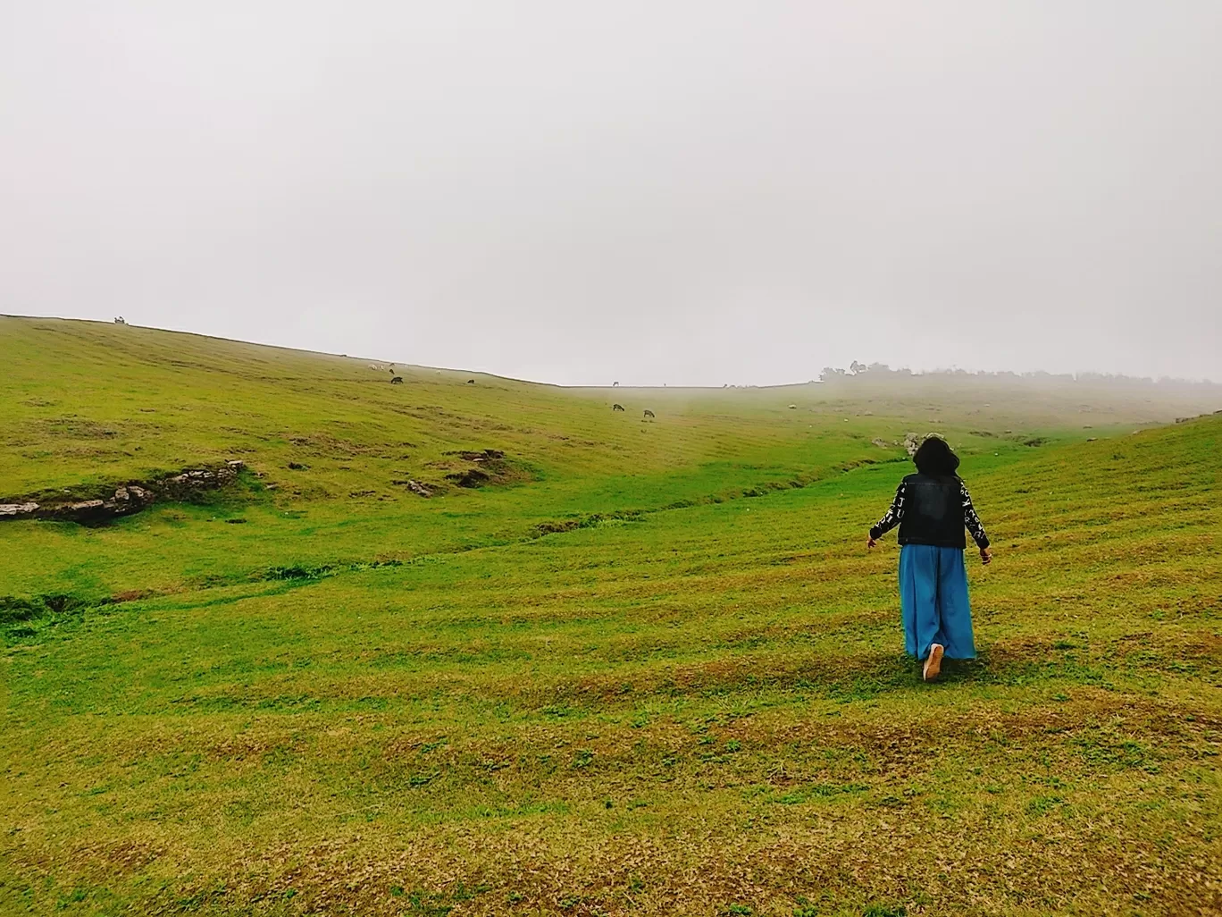 Photo of Shillong By Shilpi Nagpal