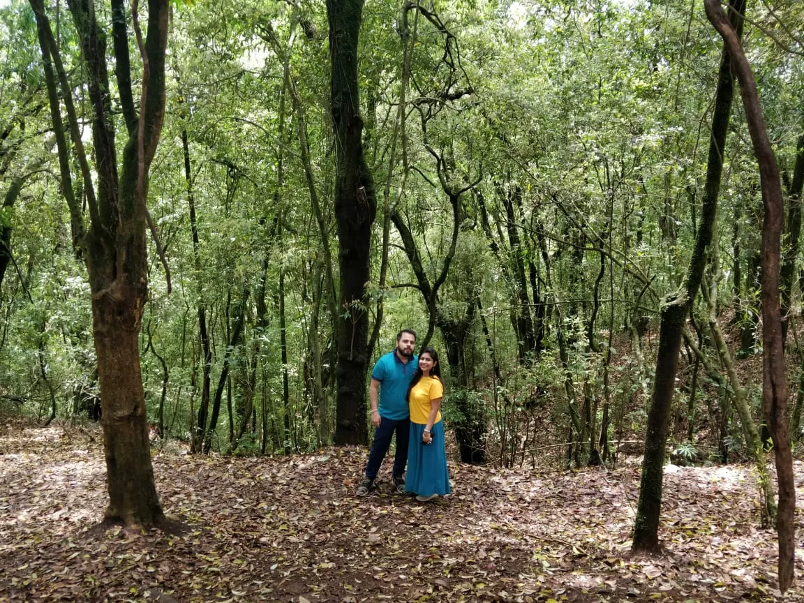 Photo of Mawphlang Sacred Grove By Shilpi Nagpal