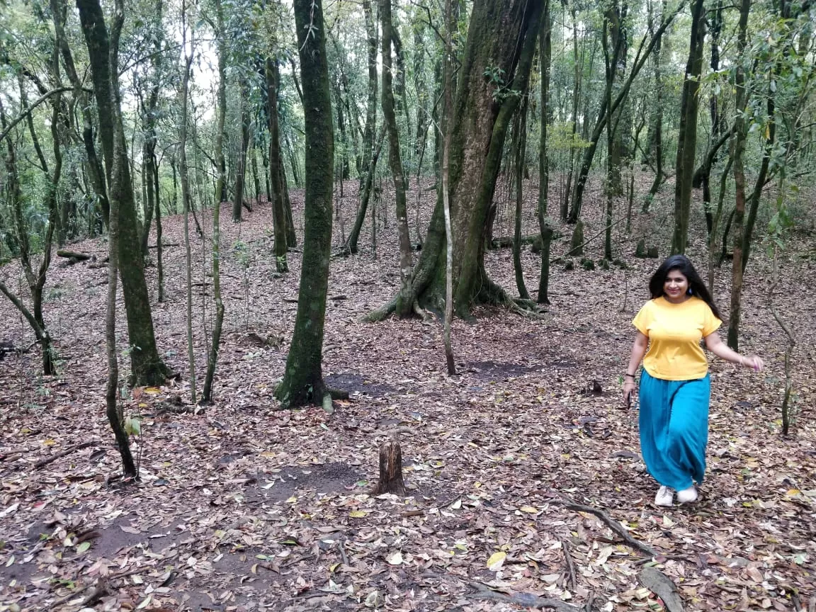 Photo of Mawphlang Sacred Grove By Shilpi Nagpal