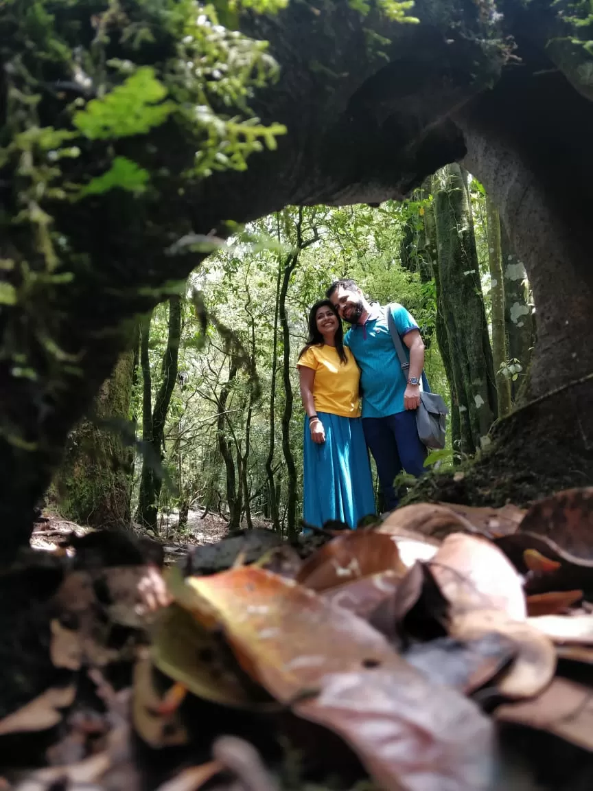 Photo of Mawphlang Sacred Grove By Shilpi Nagpal