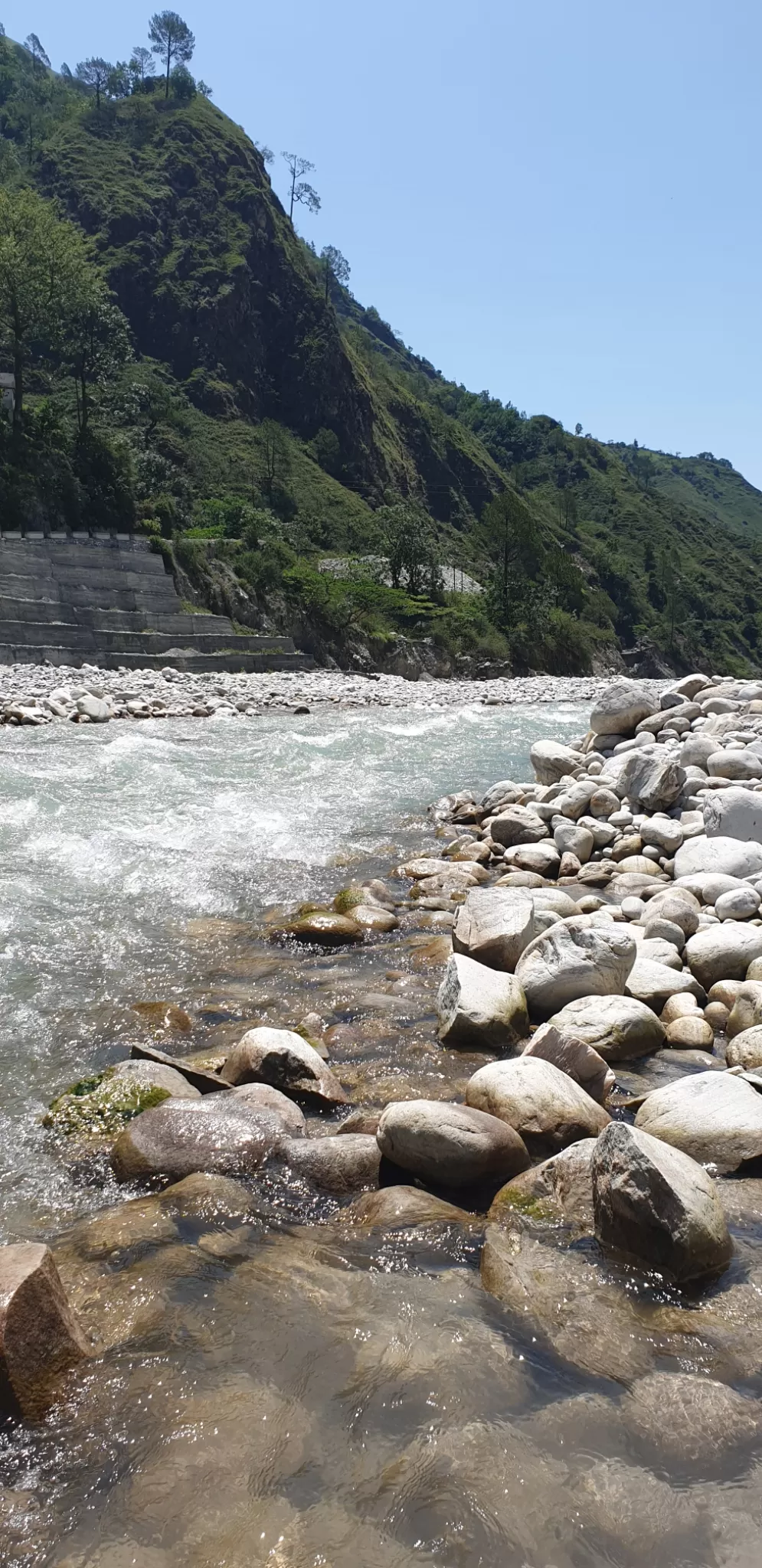 Photo of Munsyari By Ritika Gupta