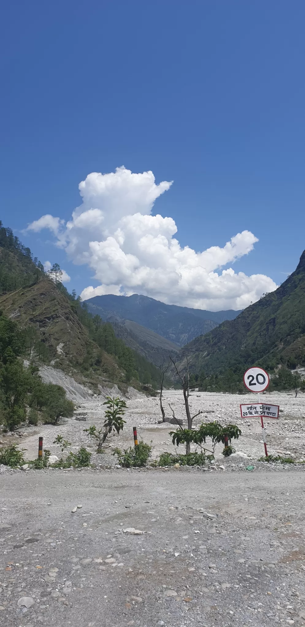Photo of Munsyari By Ritika Gupta