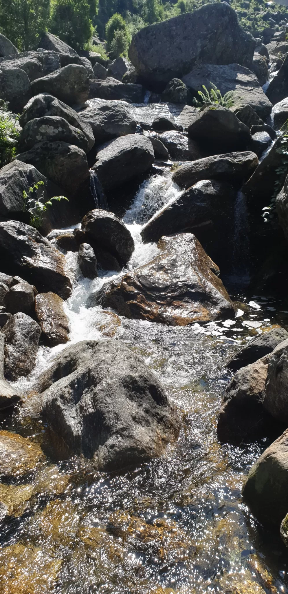 Photo of Munsyari By Ritika Gupta
