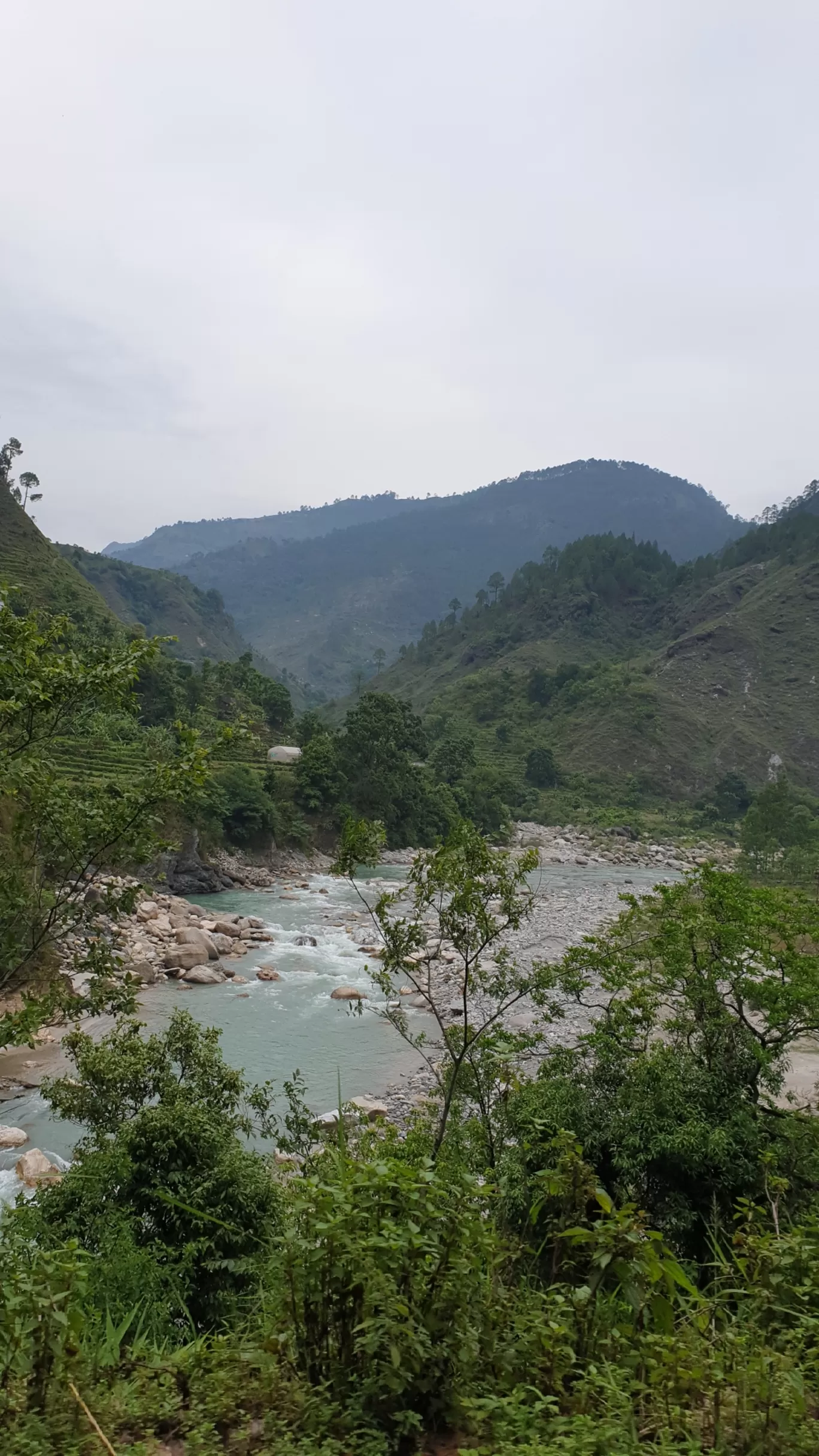 Photo of Munsyari By Ritika Gupta