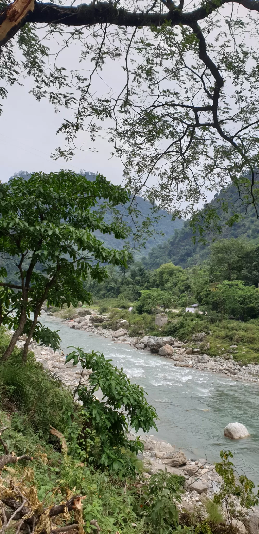 Photo of Munsyari By Ritika Gupta