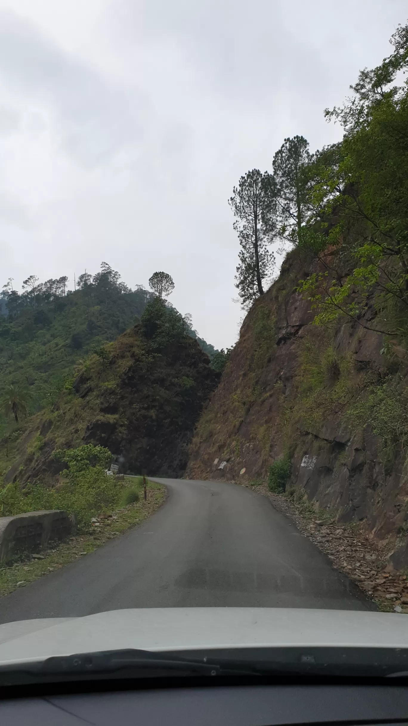 Photo of Munsyari By Ritika Gupta
