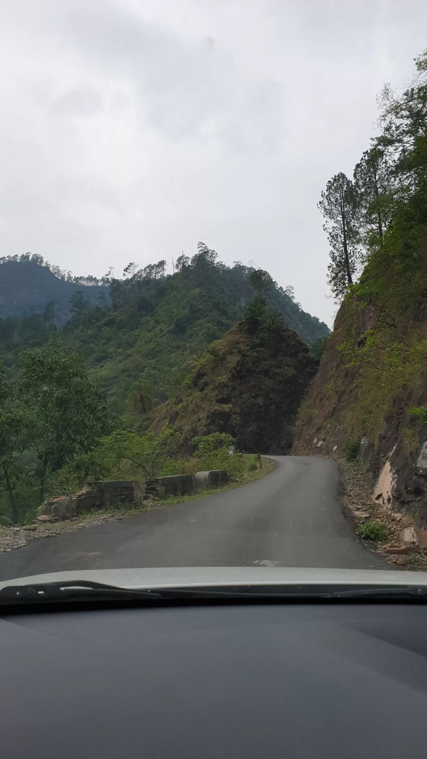 Photo of Munsyari By Ritika Gupta