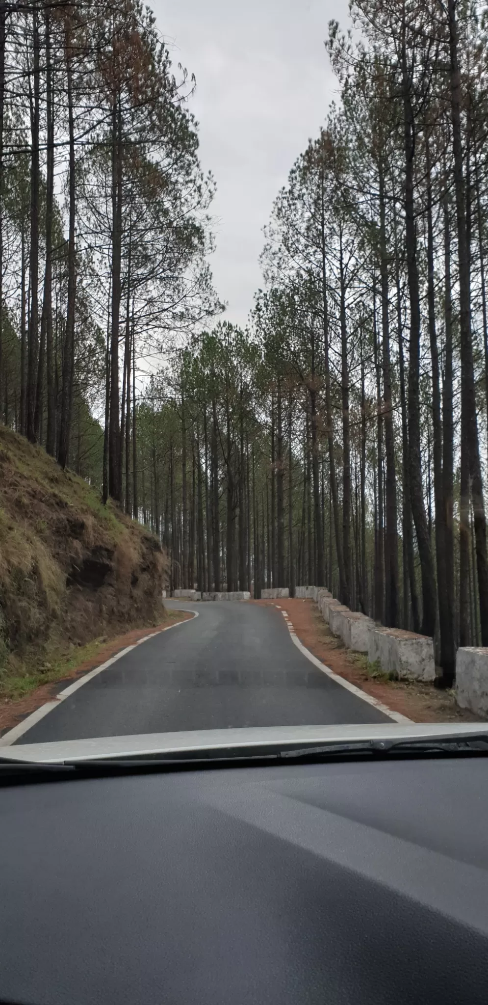 Photo of Munsyari By Ritika Gupta