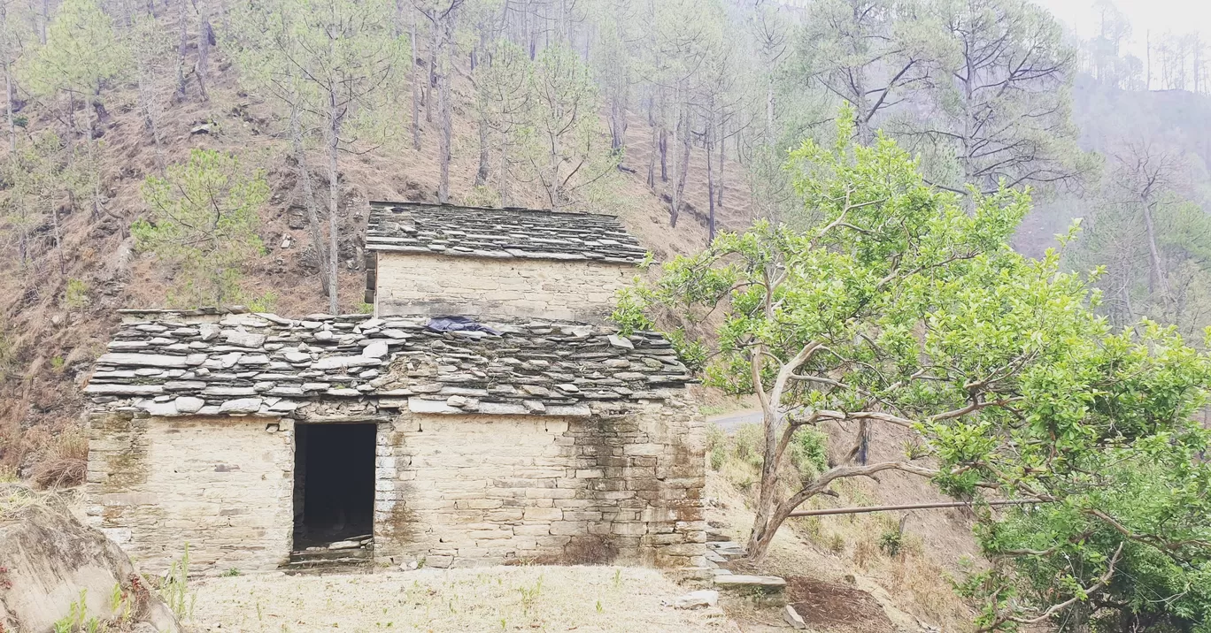 Photo of Munsyari By Ritika Gupta
