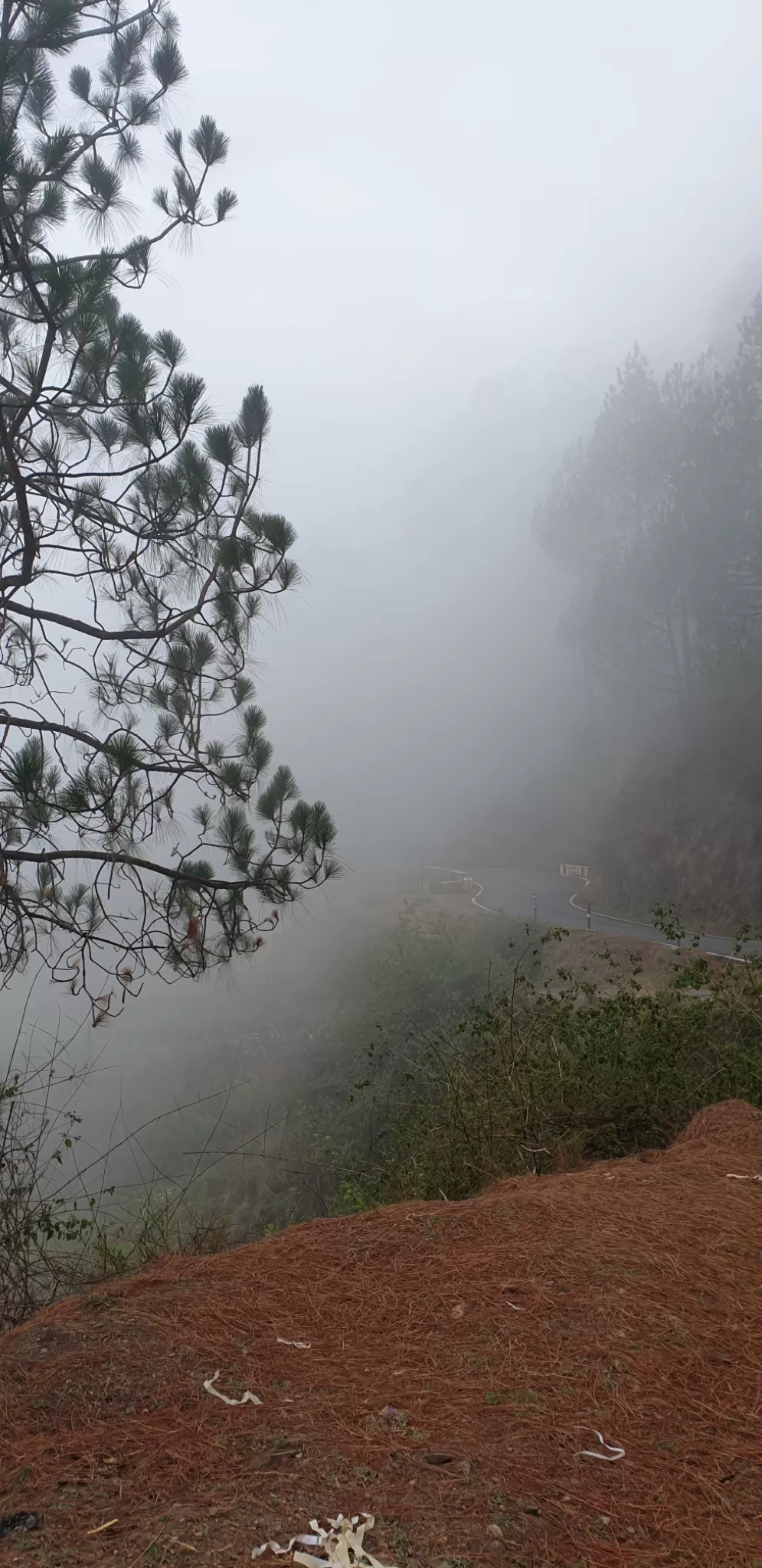 Photo of Munsyari By Ritika Gupta