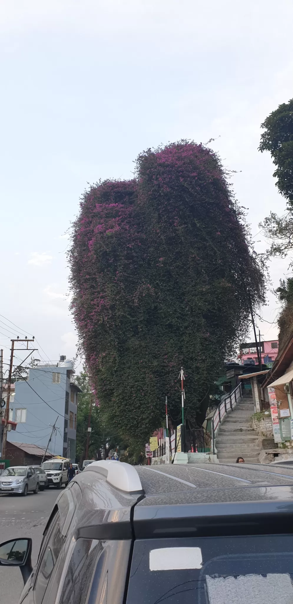 Photo of Munsyari By Ritika Gupta