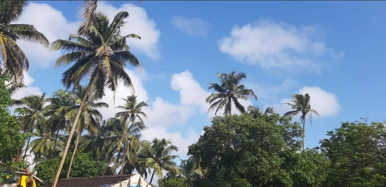 Photo of Goa By Ritika Gupta