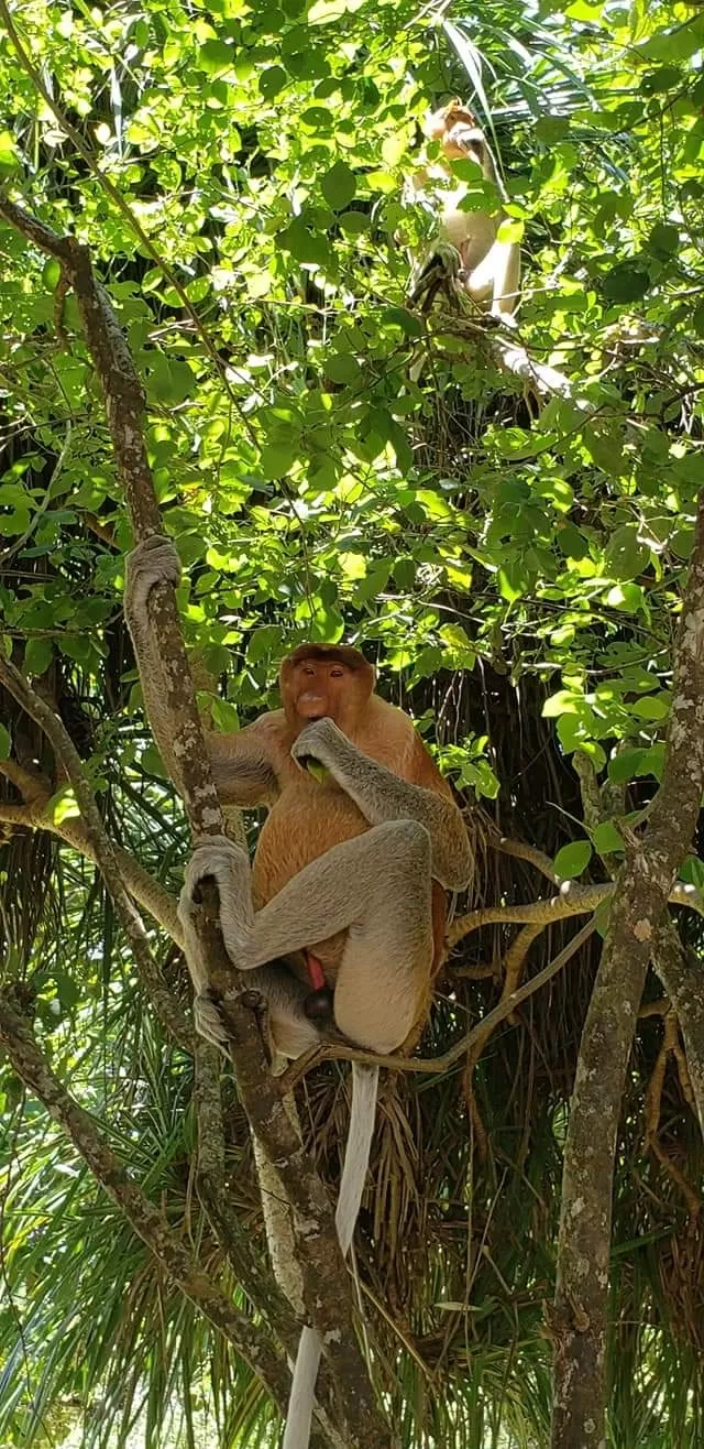 Photo of Bako National Park By Sam Khan