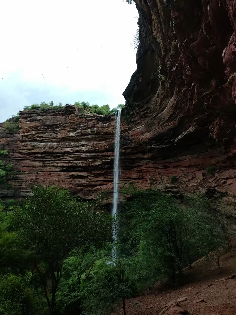 Photo of Damoh Waterfall By Shivang Gupta