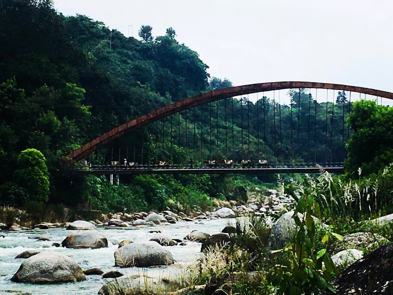 Photo of Kangra Velly By Thakur Rahul